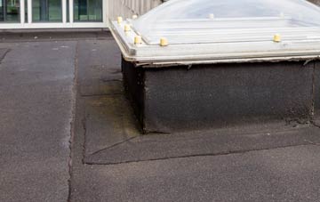 disadvantages of Netherbury flat roofs