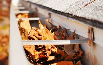 Netherbury gutter cleaning companies
