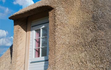 Netherbury thatch roof disadvantages