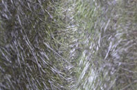 Netherbury fibreglass roof work